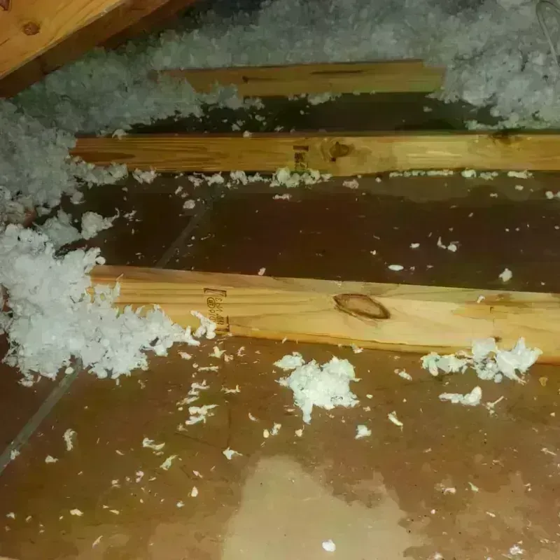 Attic Water Damage in Redby, MN