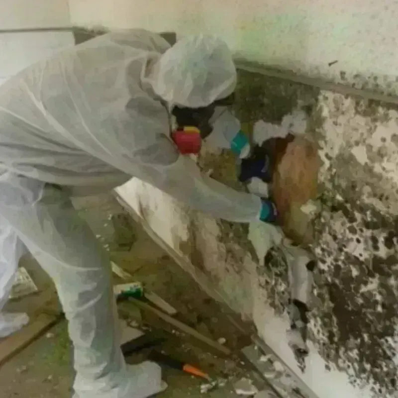 Mold Remediation and Removal in Redby, MN