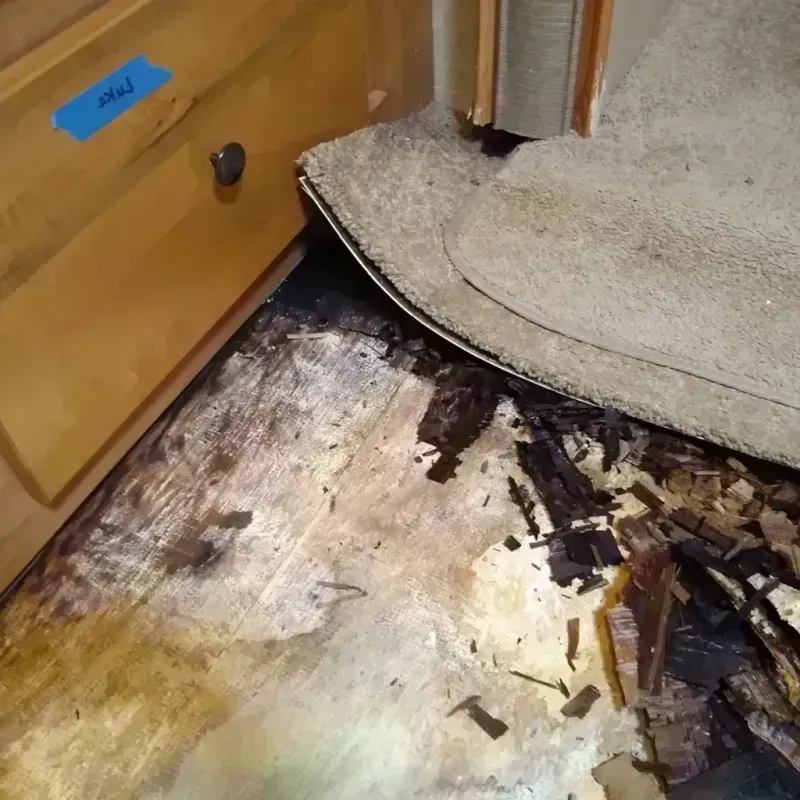 Wood Floor Water Damage in Redby, MN